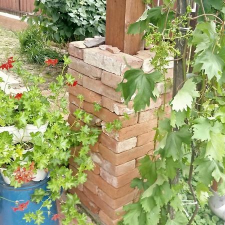 Ferienwohnung Oereghaz Vendeghaz Lakhegy Exterior foto