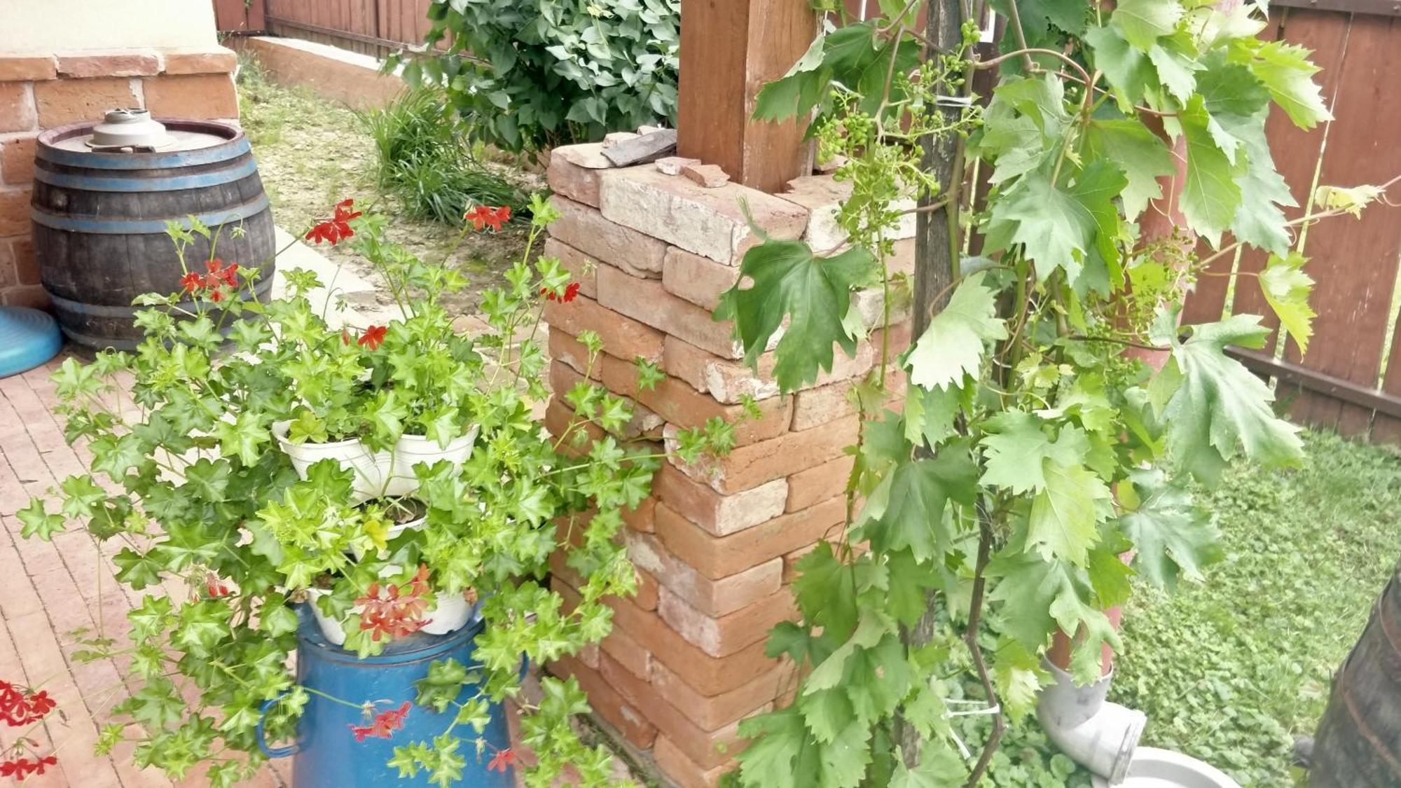 Ferienwohnung Oereghaz Vendeghaz Lakhegy Exterior foto